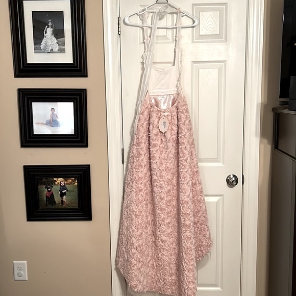 NWT. Dollcake. Pink Play dress. Size 8. - Picture 4 of 6